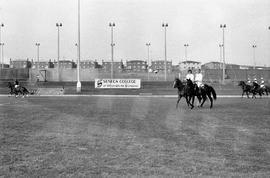 Polo Match at Finch Campus