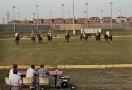 Seneca Polo Match