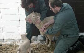 C2015-0001/026(30) - Textiles Lab, Nursing at North York General Hospital, Animal Health Technici...