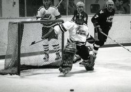 C2015-0001/022(15) - Braves Hockey Team and Cord Ball - On Shiraz File