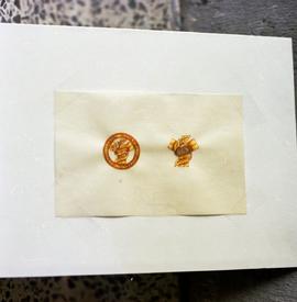 Nursing Program Graduation Pin
