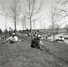 C2015-0001/018(29) - Students Sunning Next to the Finch Campus Pond in Spring