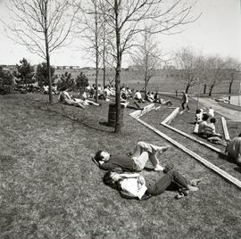 C2015-0001/018(29) - Students Sunning Next to the Finch Campus Pond in Spring