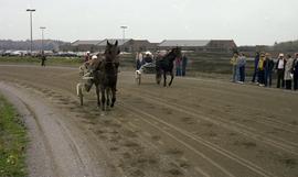 C2015-0001/019(33) Horse Track Opening at King