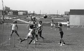 Summer Recreation at Seneca