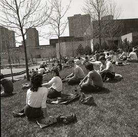 C2015-0001/018(29) - Students Sunning Next to the Finch Campus Pond in Spring