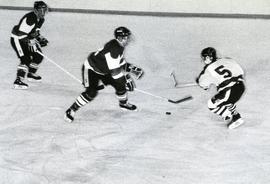 C2015-0001/022(15) - Braves Hockey Team and Cord Ball - On Shiraz File