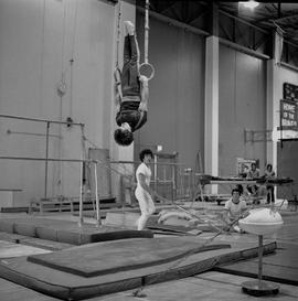 Gymnastics Awards